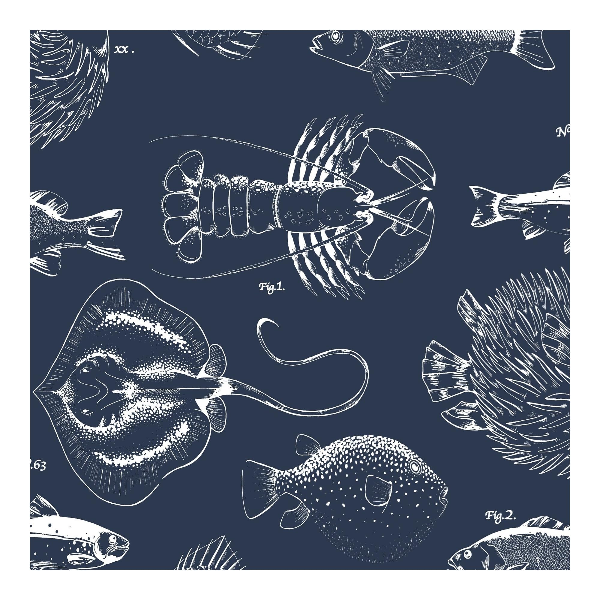 Contour Navy Antibac Into The Deep Wallpaper | Paste The Wall Application | Animal | Eco-Friendly