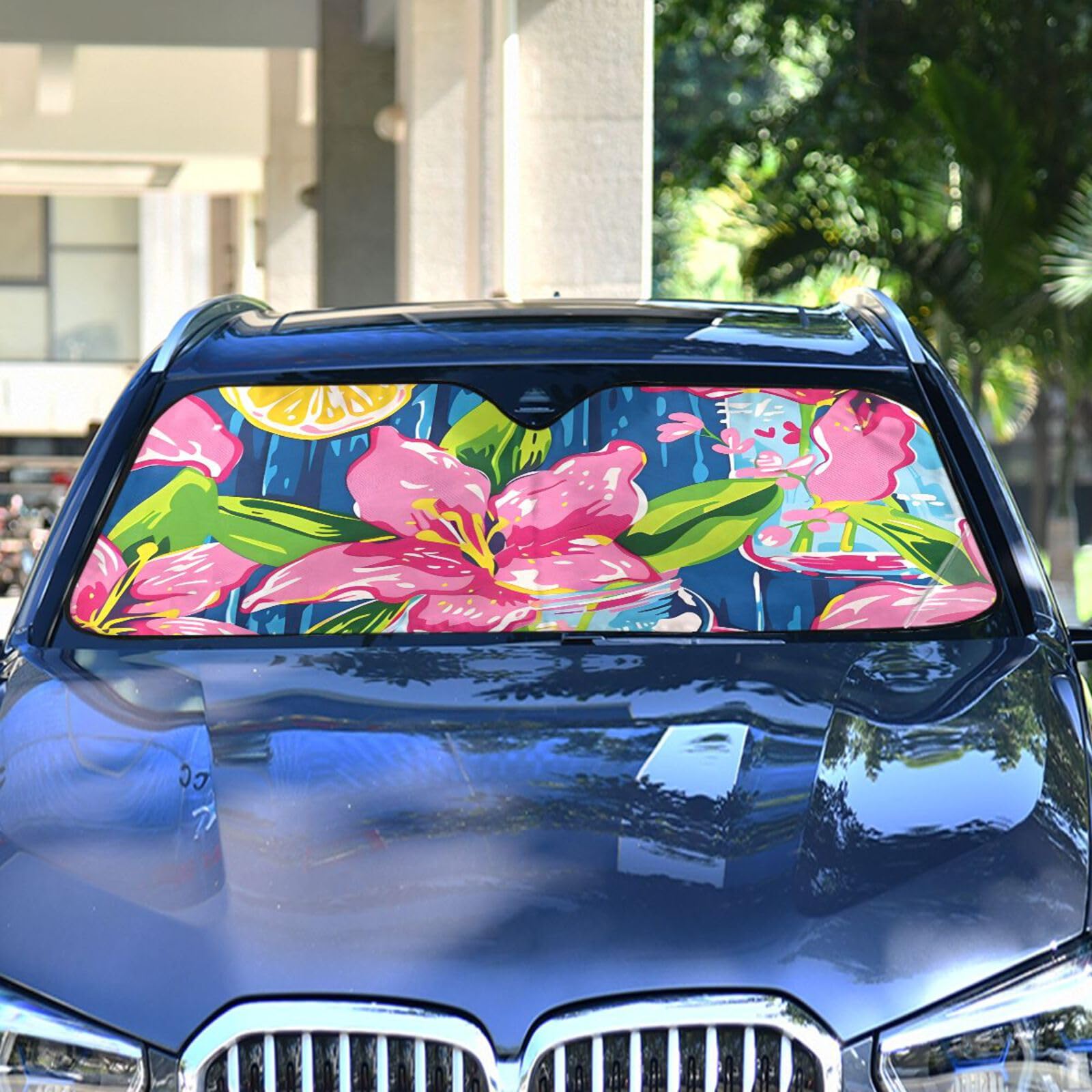 LP2枚　Pastel Coast - Hovercraft 、Sun LP2枚 Pastel Coast - Hovercraft 、Sun Amazon.com: Covercraft