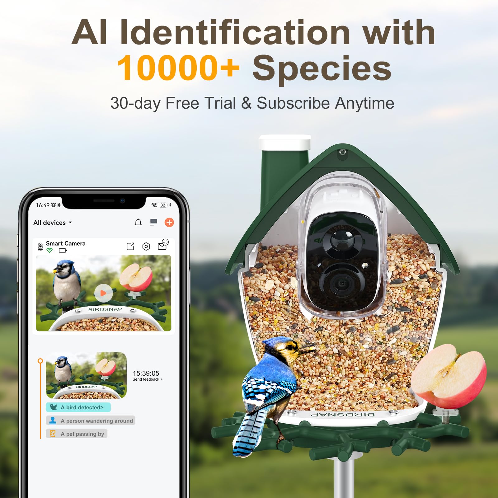 birdsnap® P33 - Comedero para pájaros con cámara alimentada por energía solar, cámara de video desmontable 2K con tarjeta de 32 GB, identificación de especies de plumas, grabación automática en el