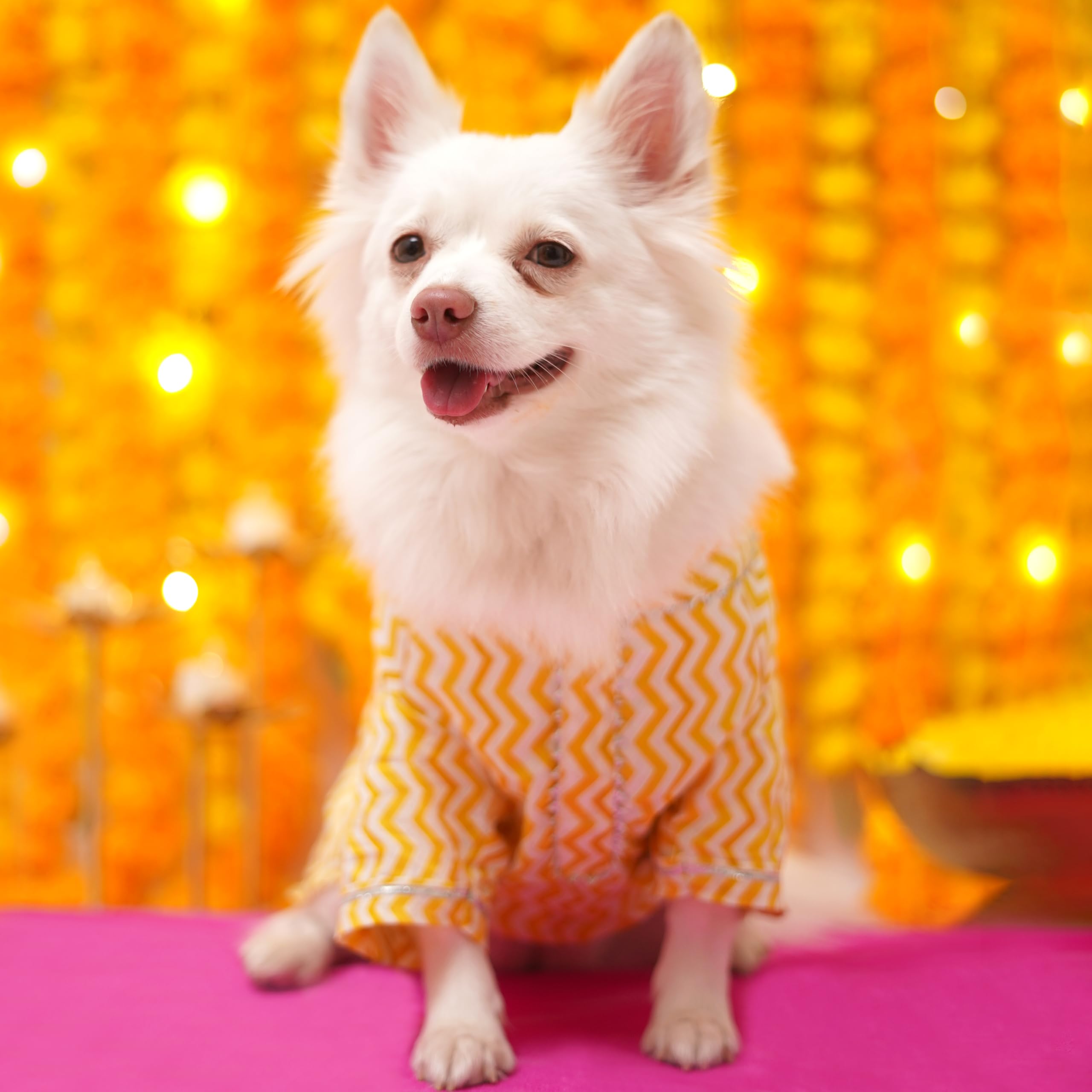 Pets Way Dog Kurta, Vibrant Traditional Pattern, 100% Soft Cotton Fabric, Easy-to-Fasten Design | for Small, Medium and Large Dogs (Chevron Gold, XS) (B0DJ5RHD9Z) Amazon Price History, Amazon Price Tracker