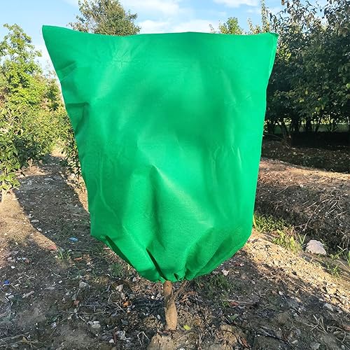 Miniatura 5 de HHTHH 3 fundas verdes para plantas heladas, 63 x 39 pulgadas, bolsa de protección contra congelación para arbustos, árboles frutales, rosales en