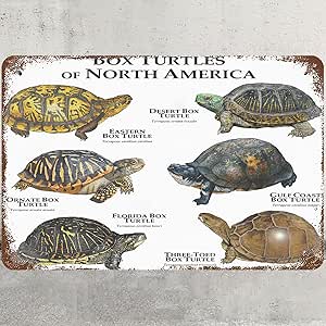 Amazon.com: Metal Sign 8