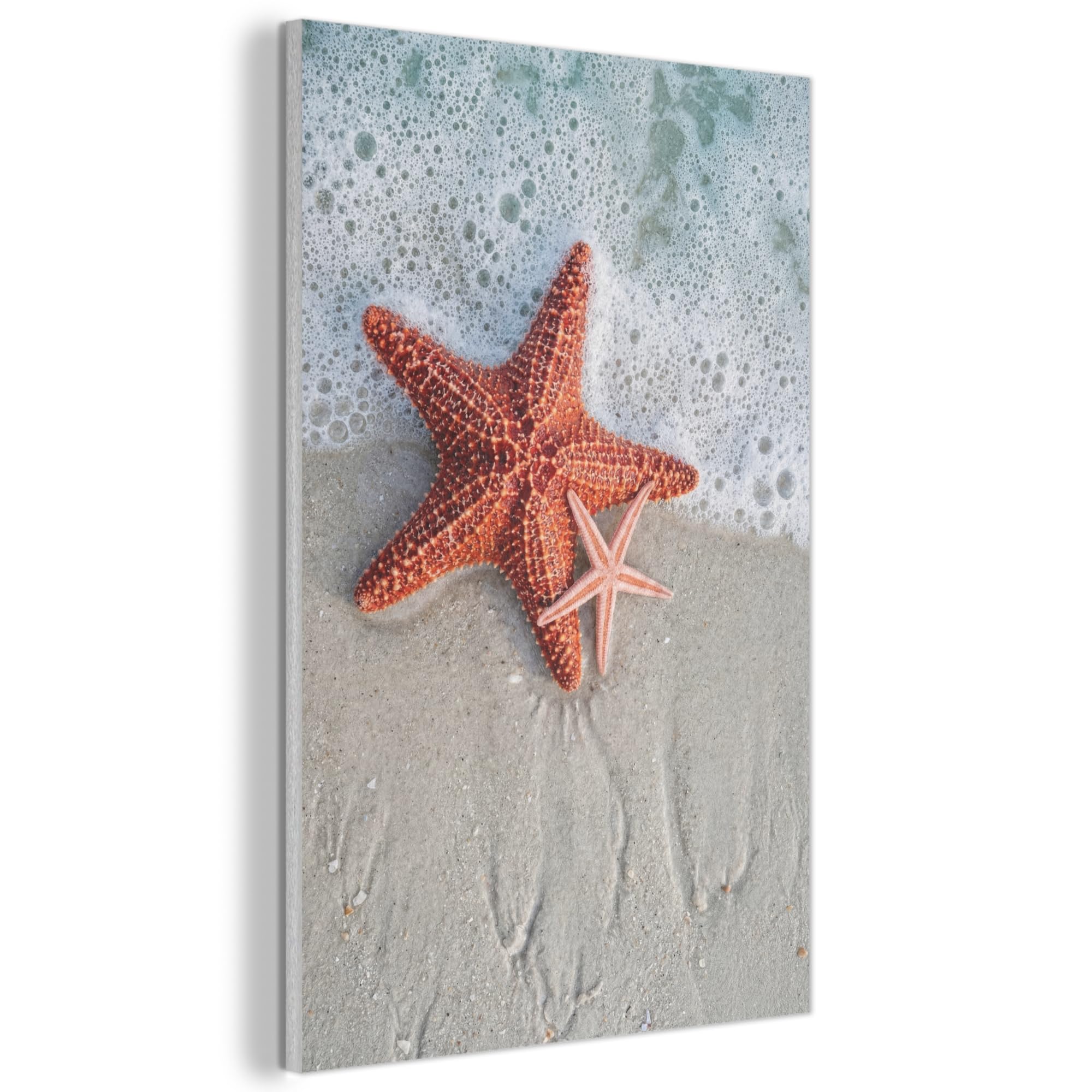 MuchoWow© Felt Panel 40x60 cm Room Style Piece Wallfillers Visual Display Decoration Wall Art Starfish - Beach - Sea