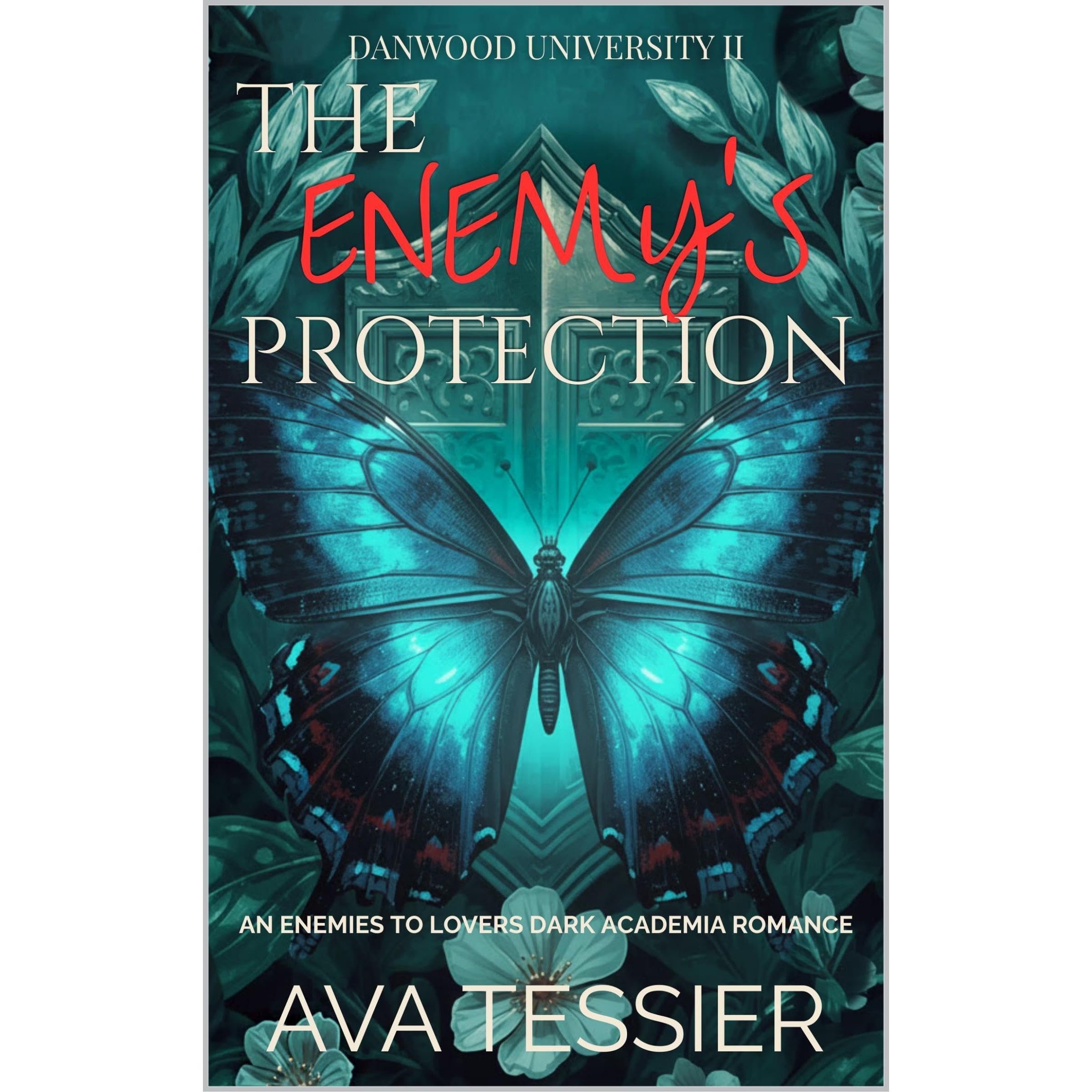 The Enemy's Protection