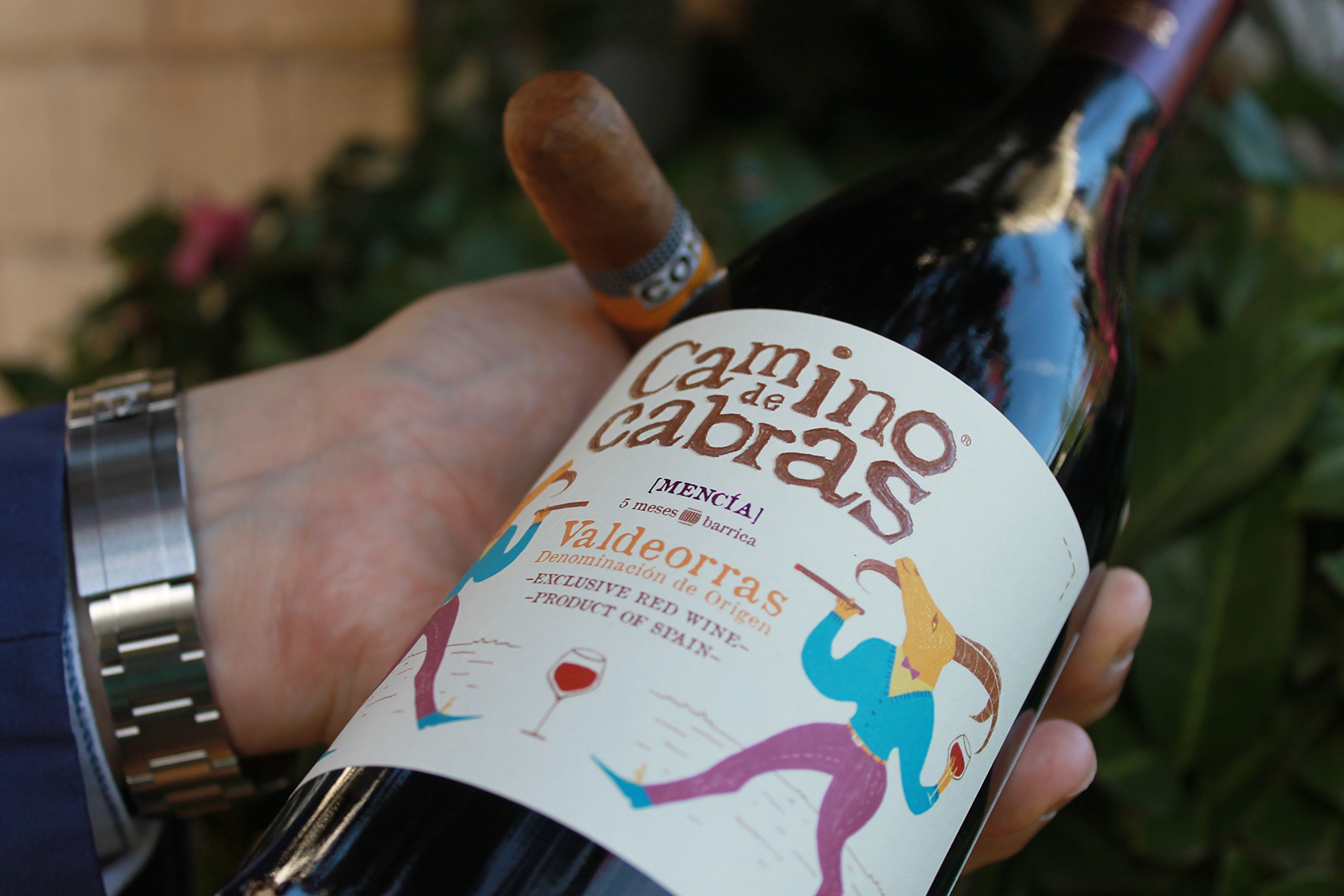 Vino Mencia Crianza - Caja Vino Tinto 6 botella x 750 ml - Vino para Regalar – Vino gallego Premium – Vino Regalo Gourmet – Pack Regalo vino – D.O Valdeorras - CAMINO DE CABRAS