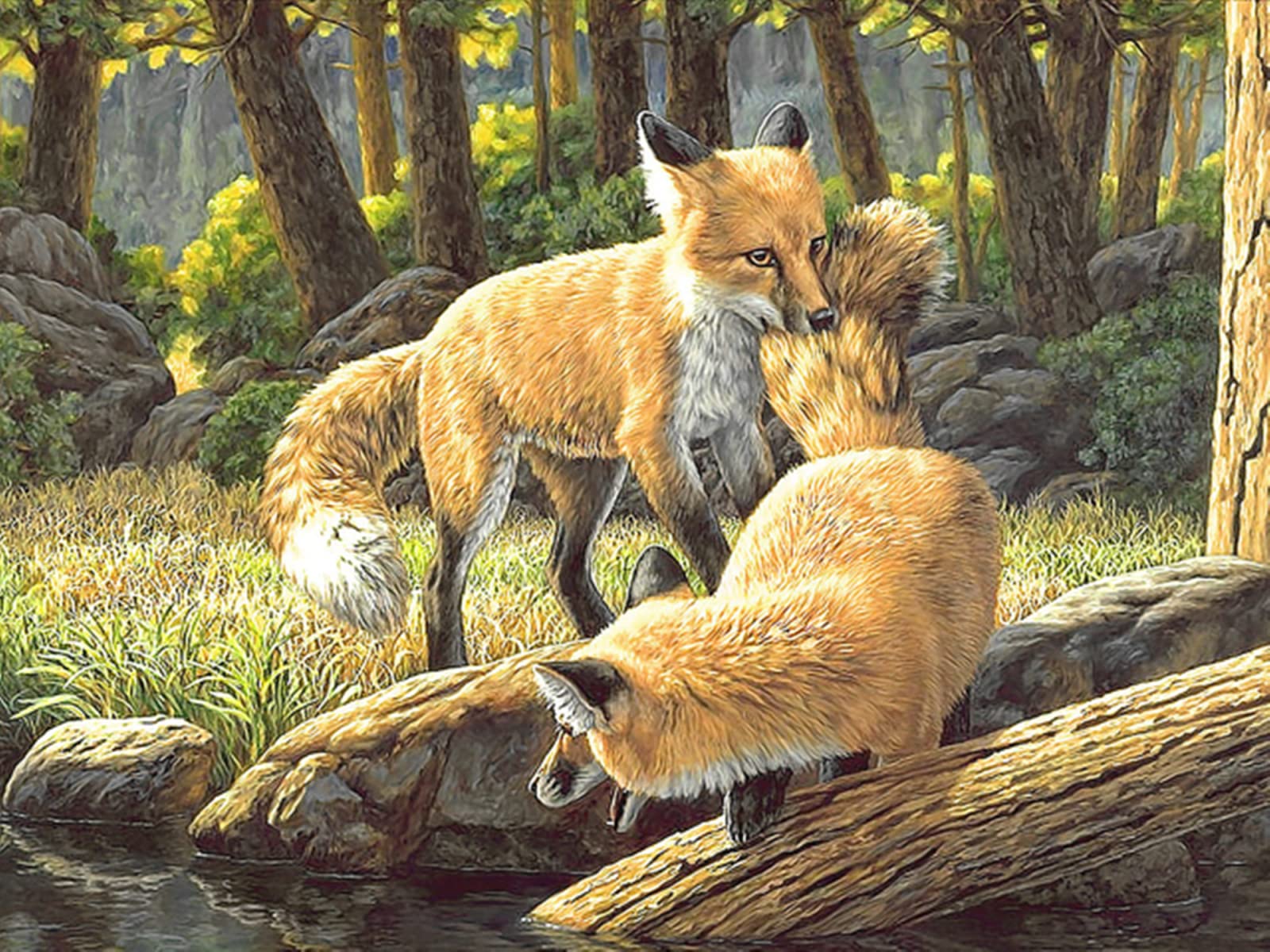 Puzzle en bois adulte renard 1500 pièces pour vos soirées jeu en famille