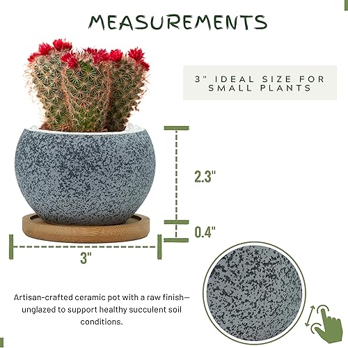 Miniatura 2 de Macetas Thriving Thicket de 3 pulgadas de cerámica para plantas, juego de macetas pequeñas para suculentas con drenaje, paquete de 6 macetas para