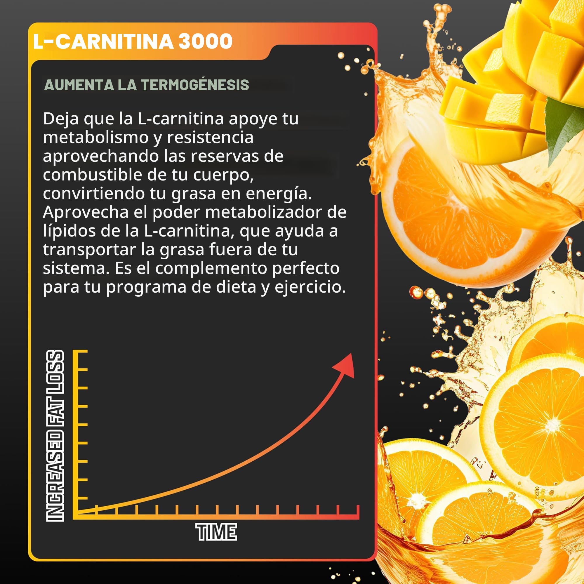 l carnitina funciona sin ejercicio L-carnitina: mecanismo y funcionamiento main image 1