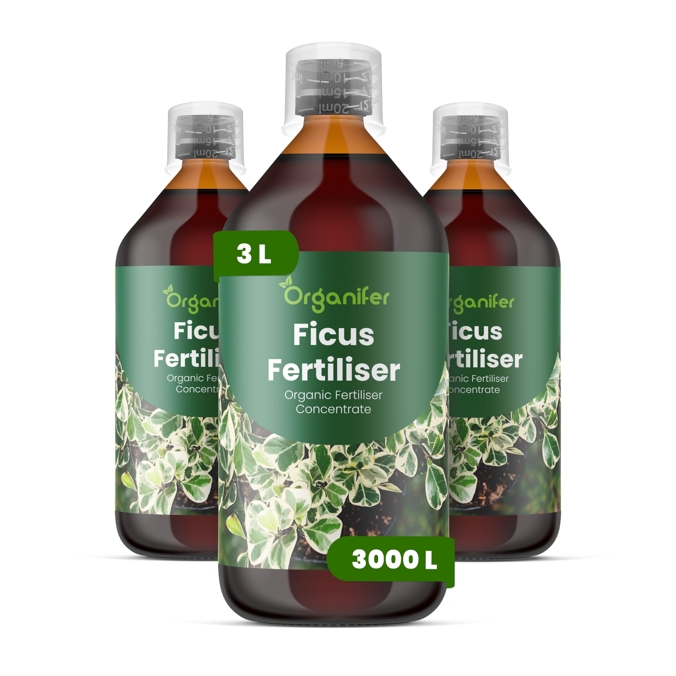 Fertilizante Líquido - 3x1L - Para Ficus - NPK 2-1-8 | Plantas Sanas Y Hojas Vigorosas - Organifer