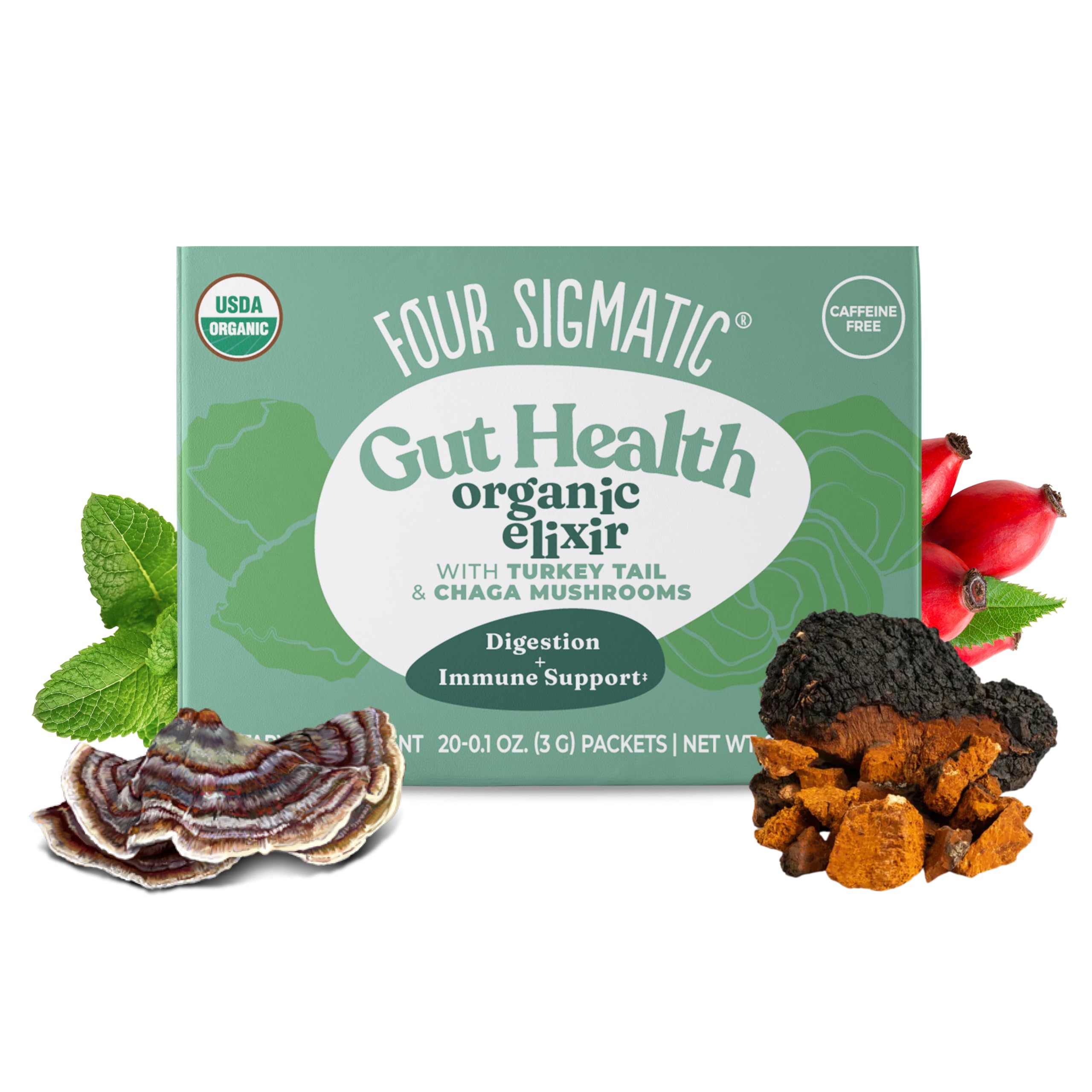 Four Sigmatic chaga champignon elixir, champignon chaga organique poudre avec églantier et à la menthe, soutien immunitaire et bien-​être général, 20 chefs d'accusation de 0,​1 oz (3 g)