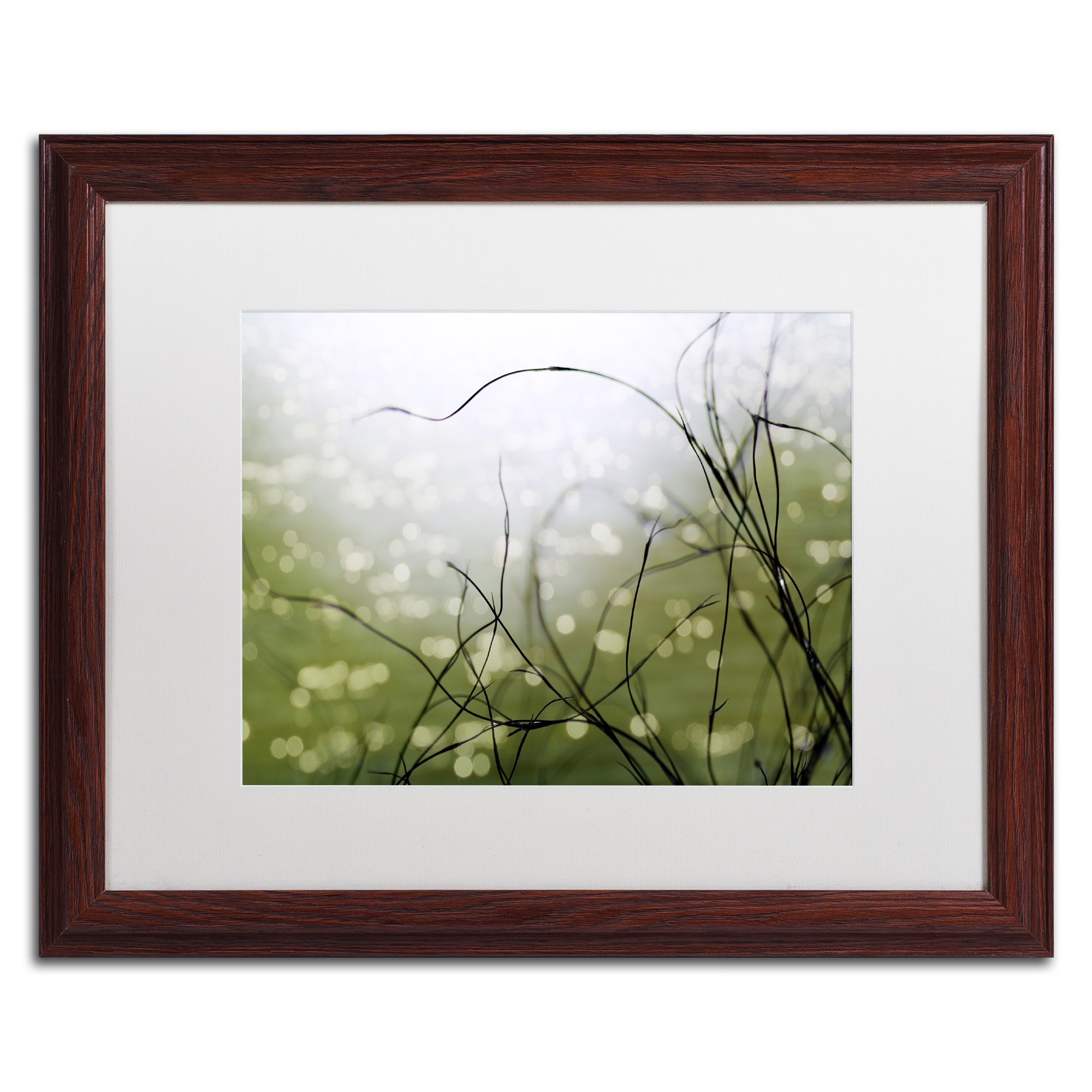 The Dreaming Tree by Beata Czyzowska Young, White Matte, Wood Frame 16x20-Inch