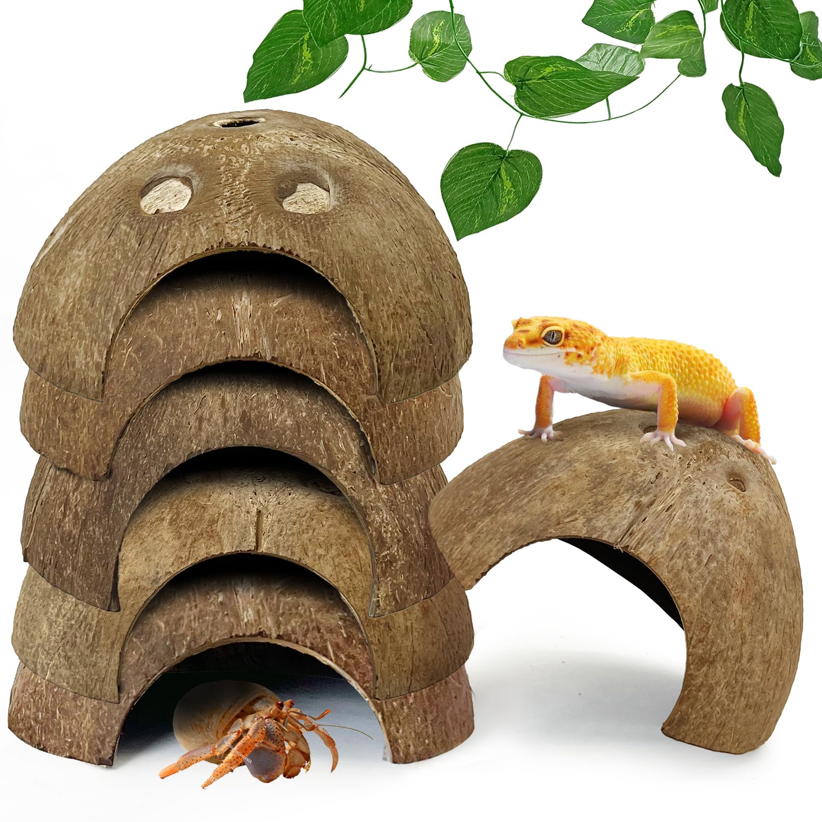 Hamiledyi 7 Pcs Reptile Hideouts Natural Coconut Shells Hut Leopard Gecko Tank Accessories for Aquarium Fish Hermit Crab Hide Cave Small Snake Tarantulas Lizard Chameleon (Without Fiber)