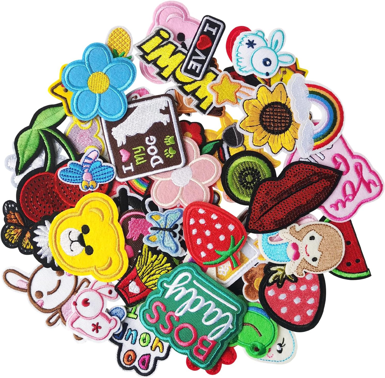 FR 60pcs Random Assorted Styles Iron on Patches,Sew On/Iron On Embroidered Patches Applique for Clothes, Dress, Hat, Jeans, DIY Accessories