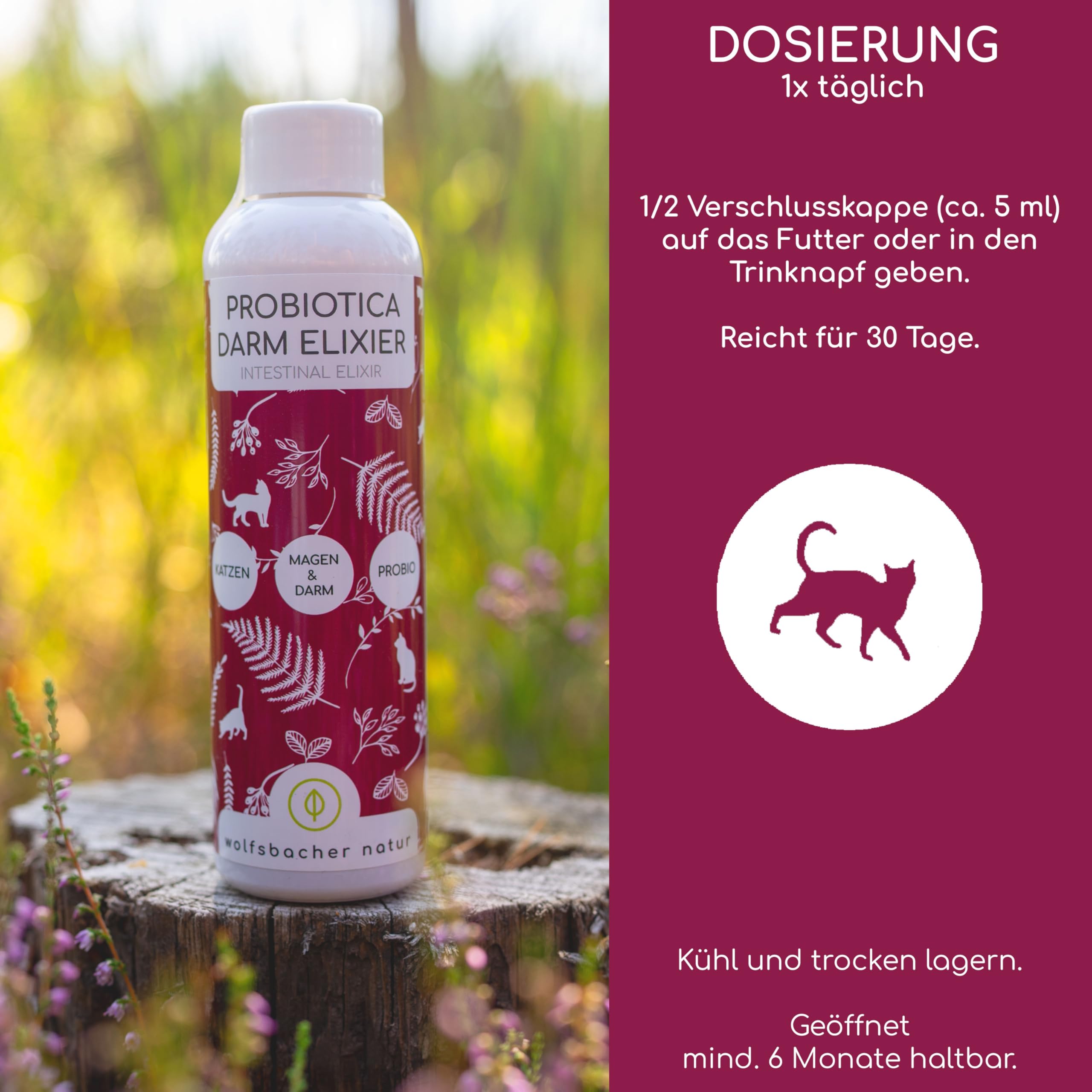 Cura intestinale probiotica per gatti - Supporta la salute intestinale - 100% naturale - Favorisce una sana digestione - 150ml