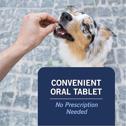 Miniatura 4 de PetArmor CAPACTION - Tratamiento oral para pulgas nitenpiram para perros tabletas de acción rápida comienzan a matar pulgas en 30 minutos perros de