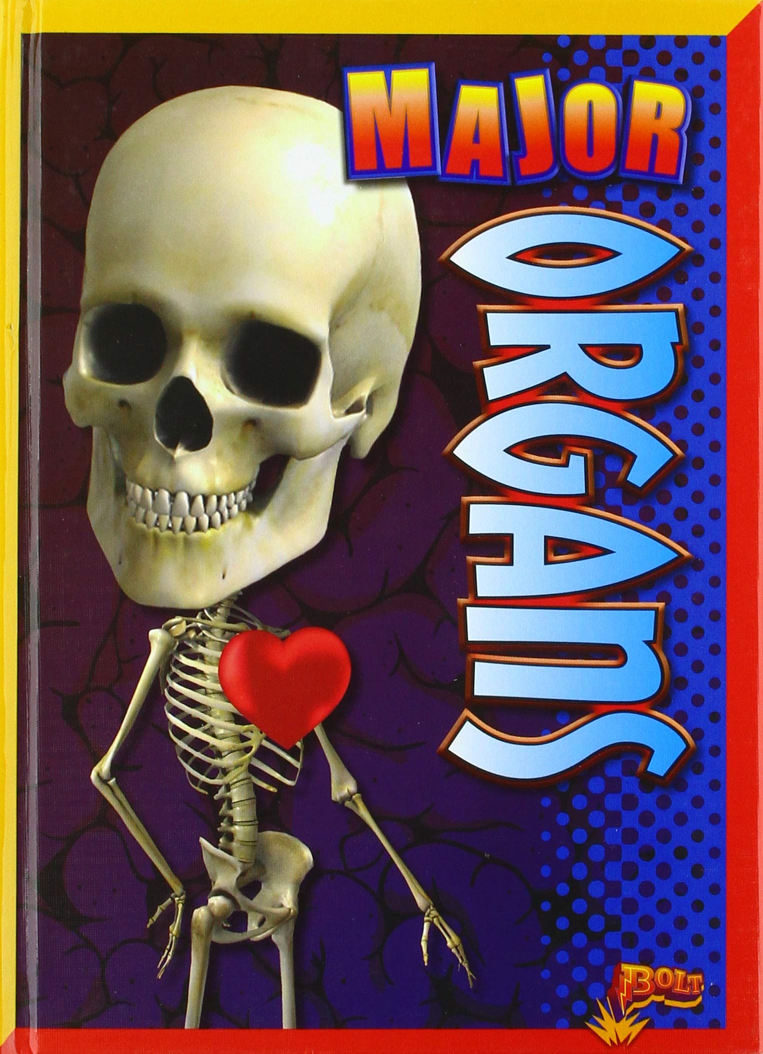 Major Organs (Amazing Human Body)