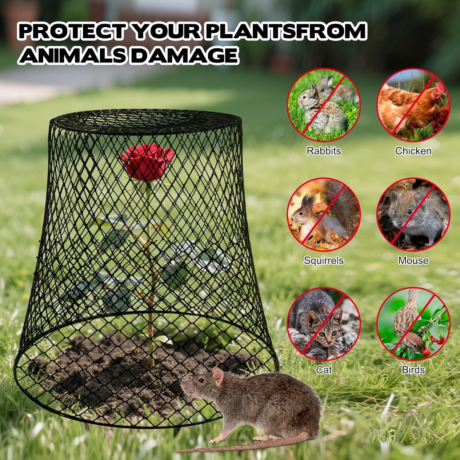 Campana di filo di pollo da giardino, protezioni per piante da giardino dagli animali, gabbia per piante da esterno, copertura per piante da giardino