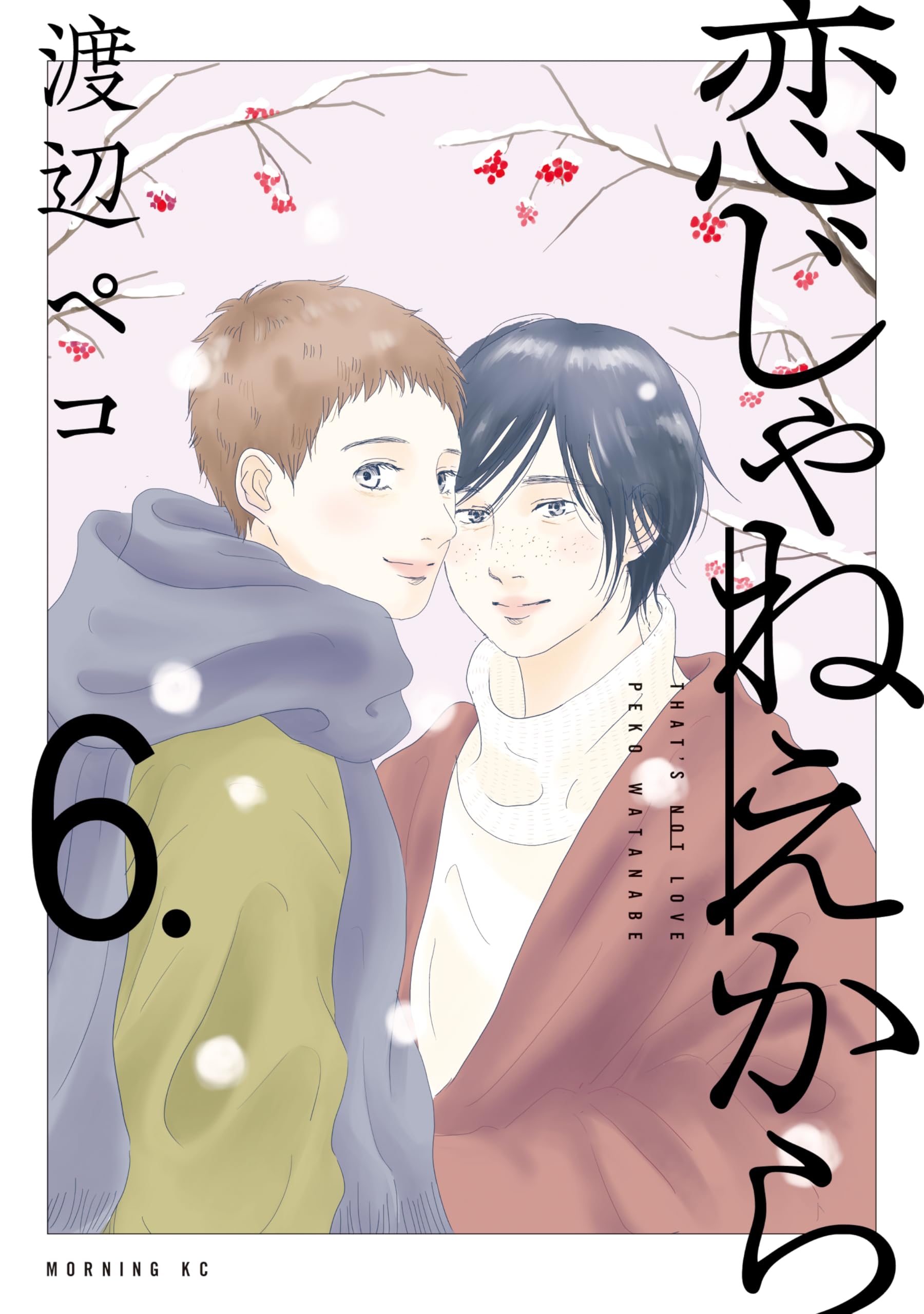 渡辺ペコ【かめをまたぐ】フィールヤング2010年8月号別冊付録 渡辺ペコ【