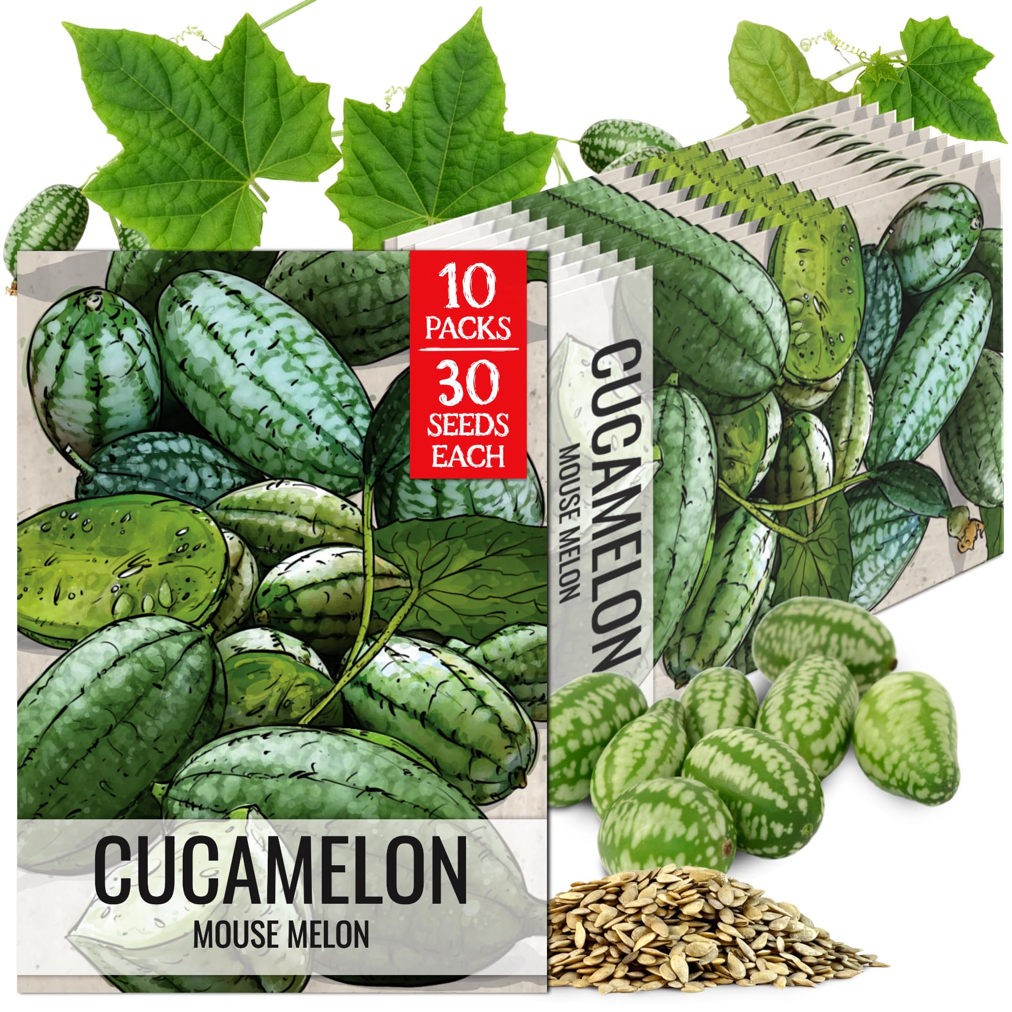 Seed Needs Cucamelon Seeds