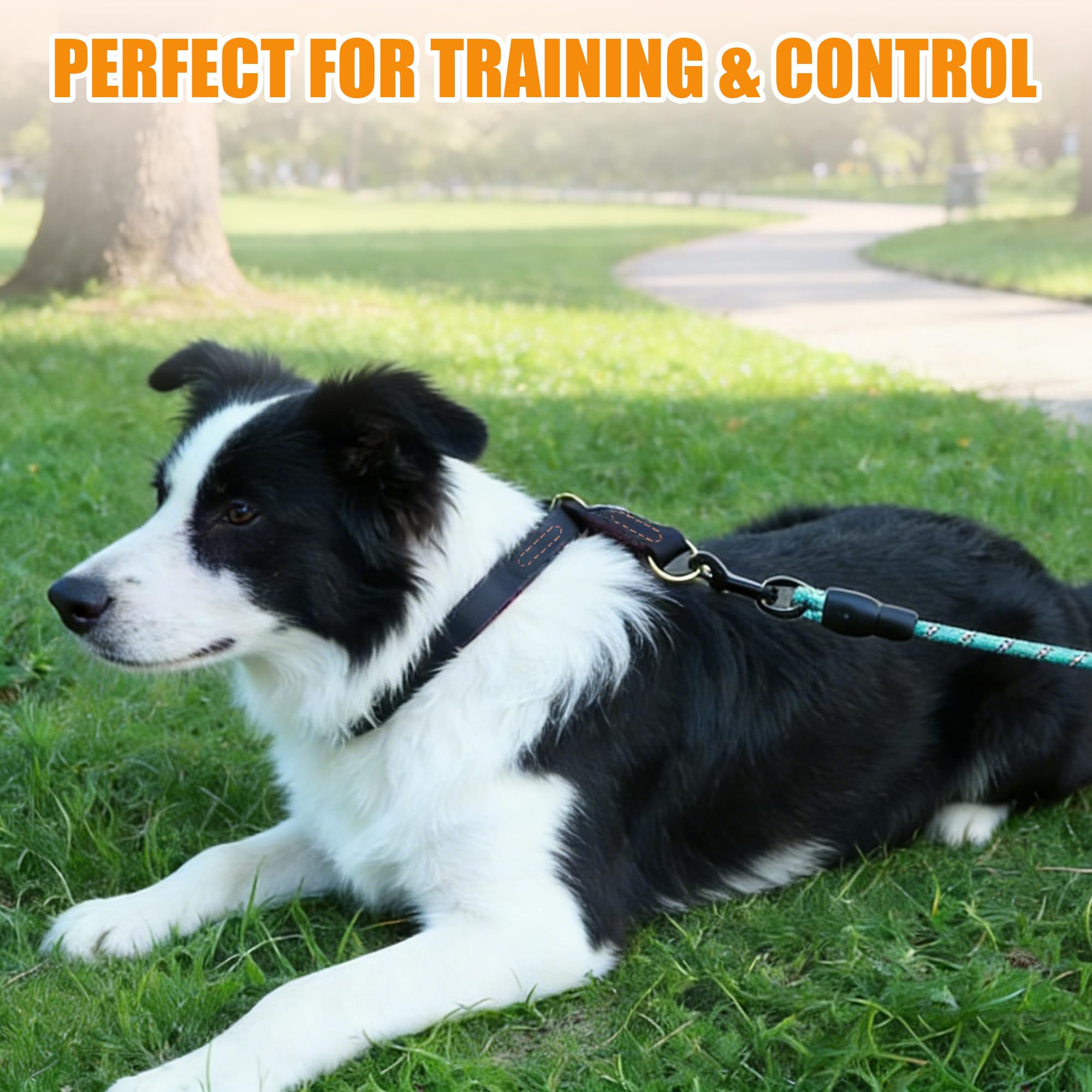 Collier pour Chien sans Traction en Cuir, pour Dresser et Promener Les Chiens, Cuir de Vachette Pleine Fleur sélectionné, Robuste, Confortable, Noir, Marron, Cinq Tailles différentes de 30 à 60 cm - 3