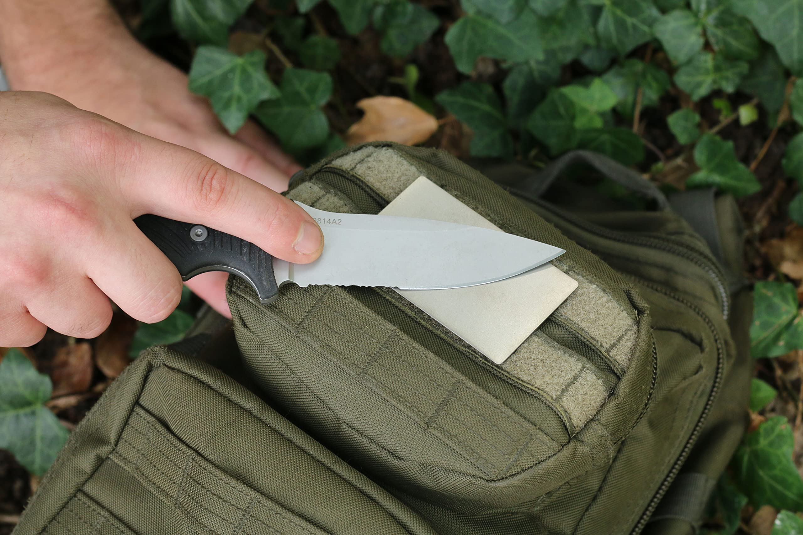 View 3