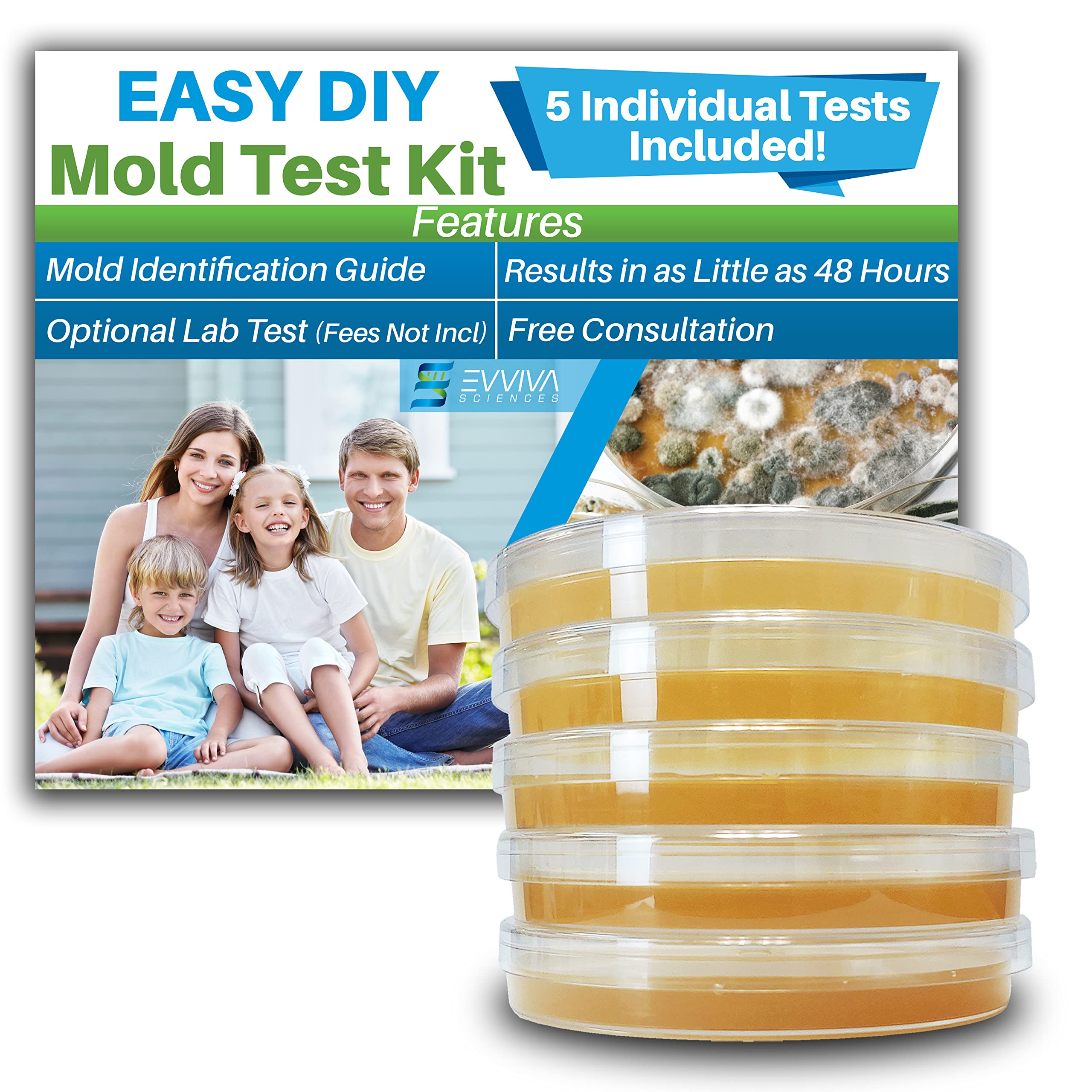 Buy Air Mold Test Kit Evviva Sciences 5 Simple Mold Detection Tests