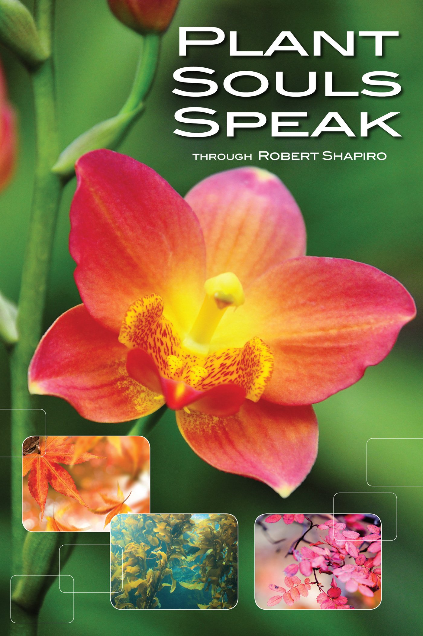 Plant Souls Speak: The Transformative Energies of Live Plants (Explorer Race Series, Book 16)