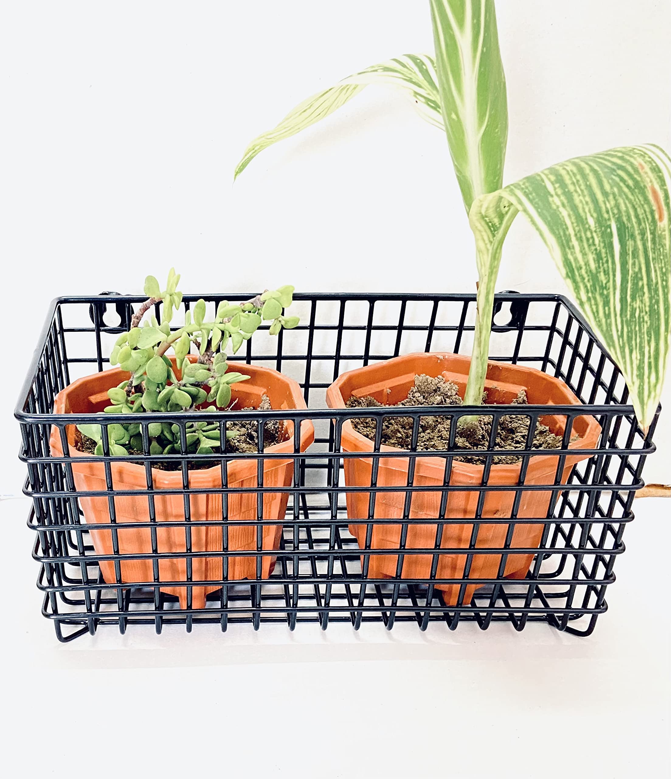 Sarman Wall Hanging Wire Basket Wall Decor Planter for Plant pots with 2 Flower pots Free (White) (B08QFRRSNK) Amazon Price History, Amazon Price Tracker