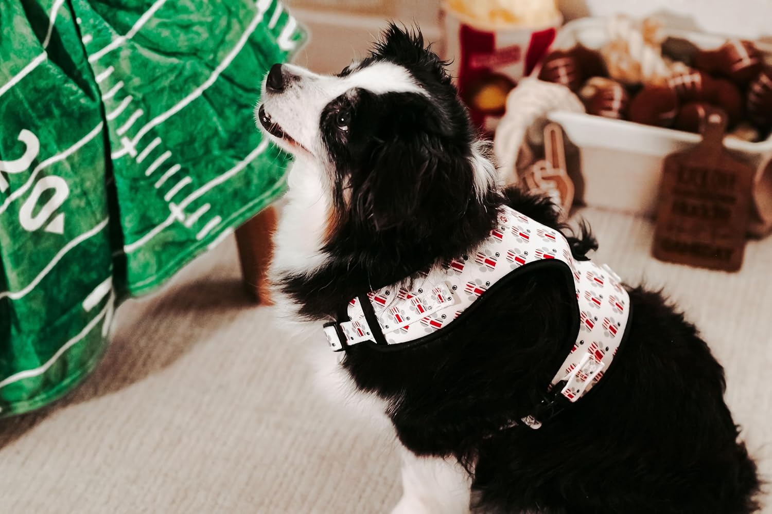 The Ohio State University Helmet Paw Print Pet Harness (Medium)