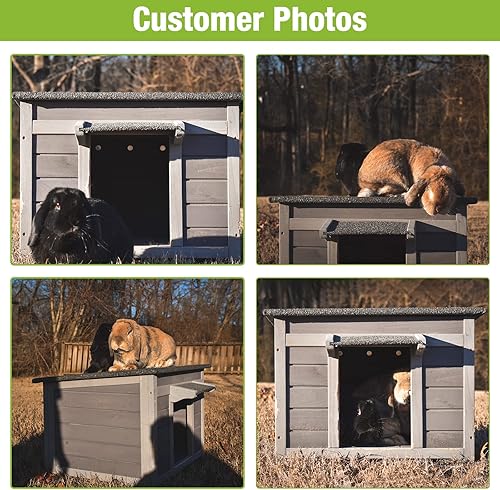 Miniatura 6 de GUTINNEEN Casa para gatos al aire libre Conejera de madera para conejos, refugio para gatos salvajes, jaula de conejo, hábitat de conejillo de