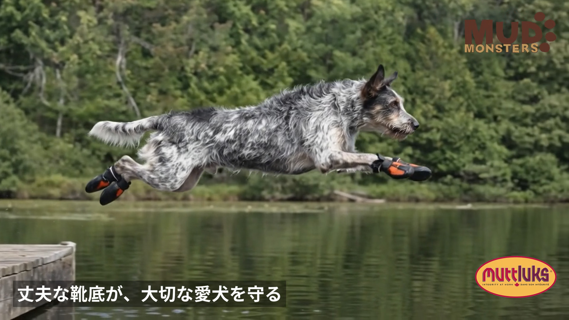 Amazon.co.jp: Muttluks マッドモンスターズ 犬 靴 脱げない 履かせ