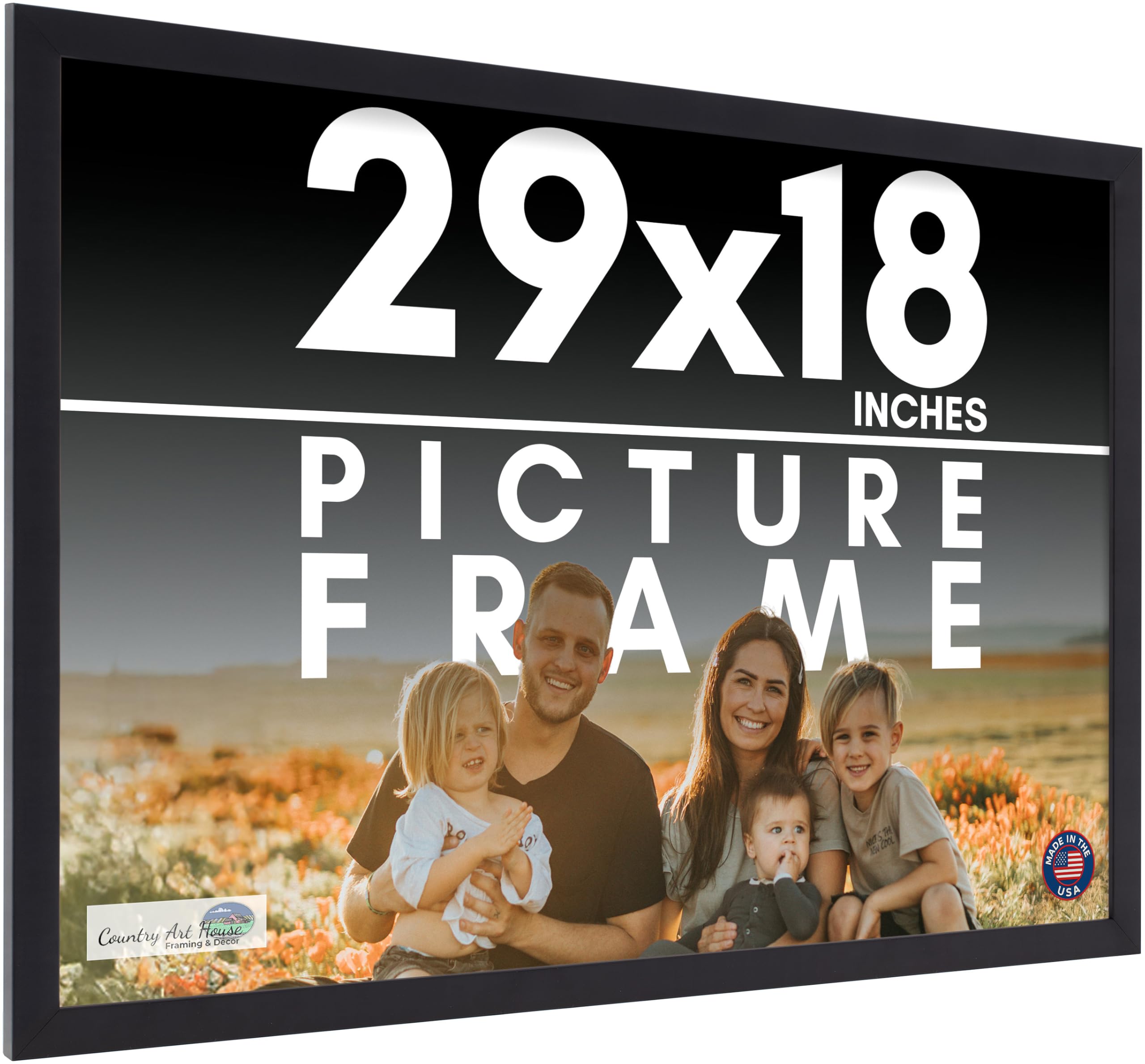 Amazon.com - 29x18 Frame Black Picture Frame - Complete Modern