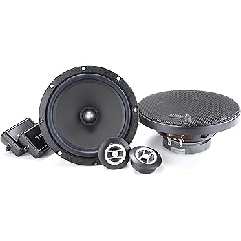 focal door speakers 6.5