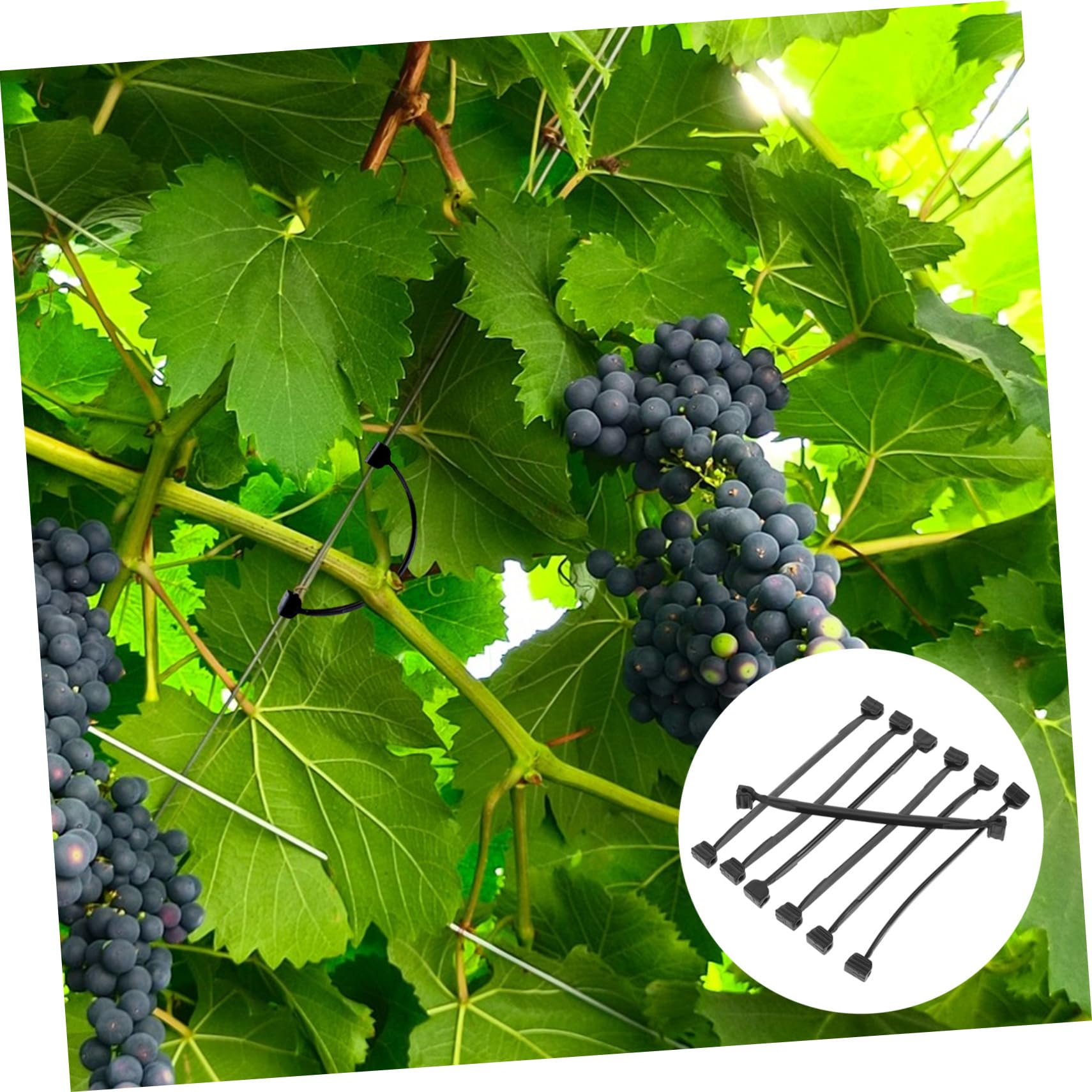 Toyvian 1tasche Garten Clips Für Pflanzenstütze Kunststoff-bindeklammern Für Weinreben Und Obst Pack Wetterbeständig Und Flexibel Für Gartenarbeit Und Pflanzenpflege
