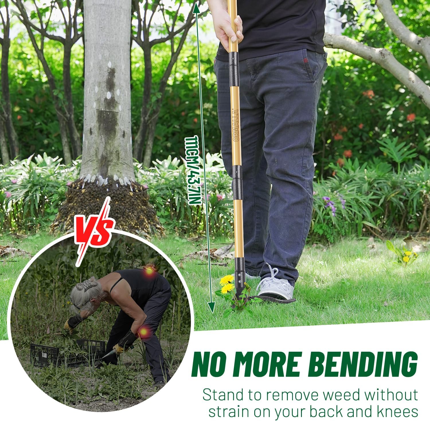ORMALLA Weed Puller, 43.7in Long Handle Weed Remover, Dandelion Removal Tool, Natural Bamboo Handle and 4 Claws, Stand Up Garden Weed Root Remover, Pet Friendly (Upgrade) - Image 4