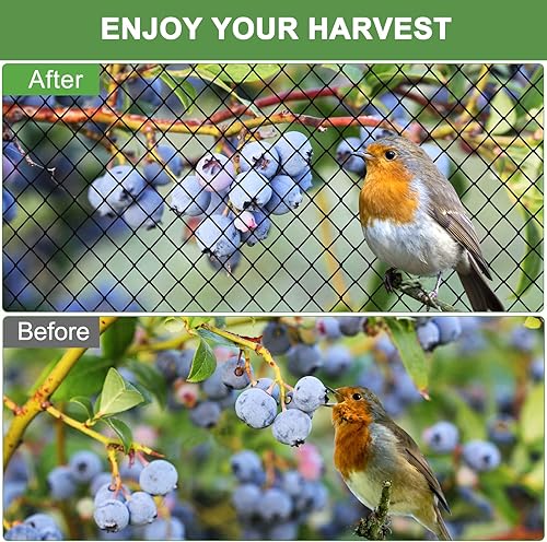 Miniatura 6 de Red para pájaros, red de jardín con red de malla de 34 pulgadas, red de aves de corral de 50 x 100 pies para gallinero, red de nailon resistente