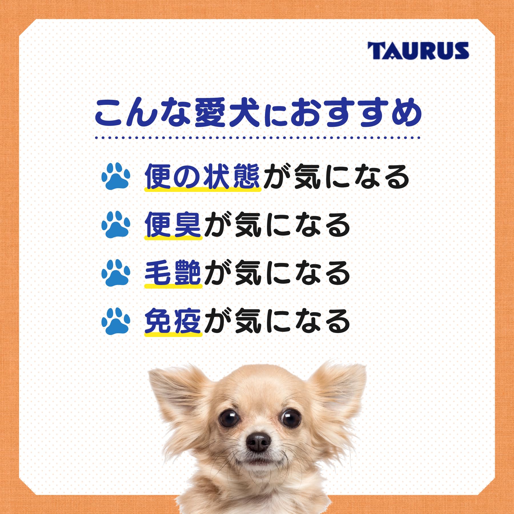 Amazon.co.jp: トーラス ドッグB＆S 1g×12包 2261220 : ペット用品