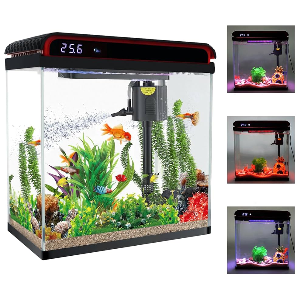 Gallon Fish Betta Fish Tank Starter Kit Fish Tank Gallon Glass