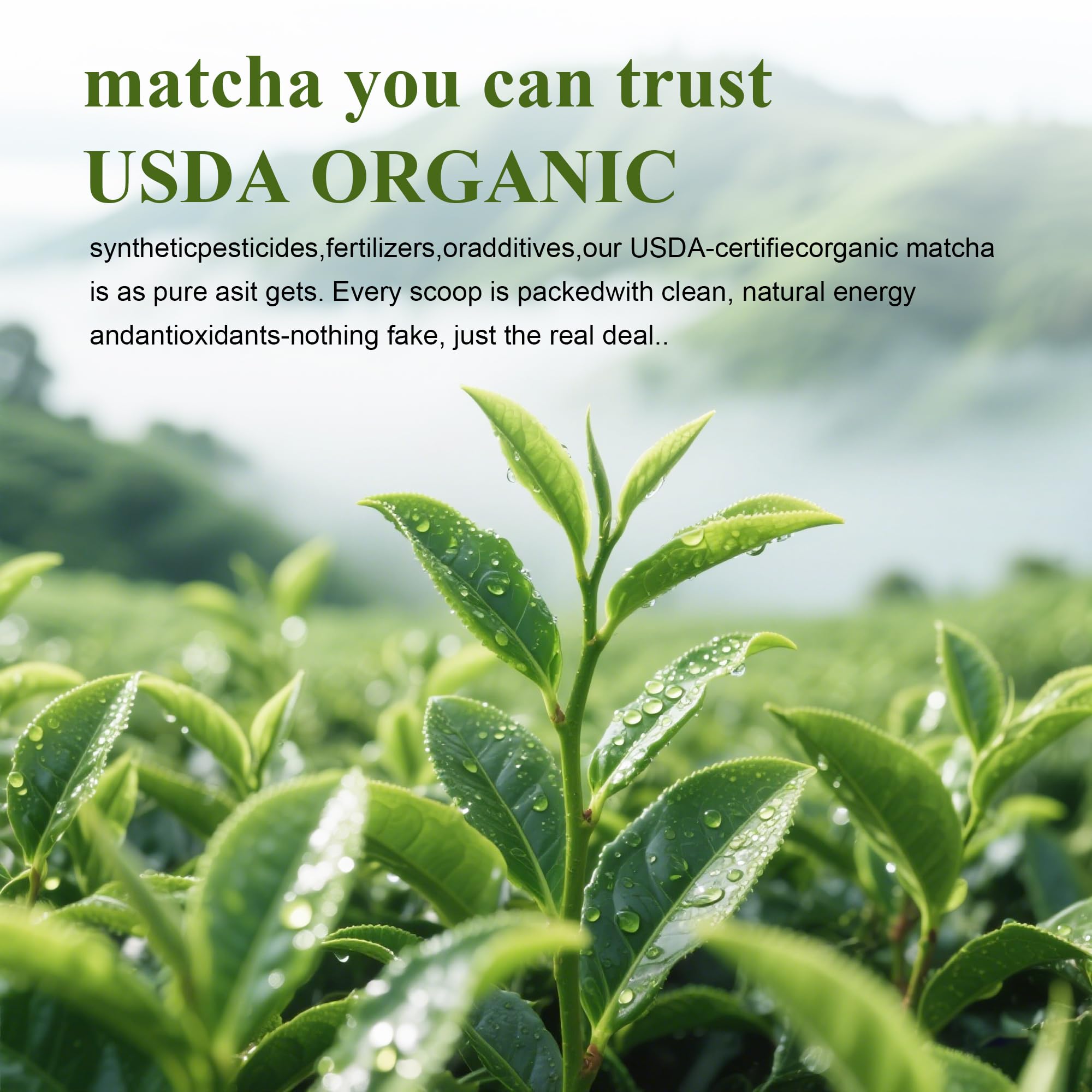 Premium Culinary Grade USDA-Certified Organic Matcha 100 Pure Green Tea Powder Perfect for Lattes Smoothies Desserts and Baking — view 8