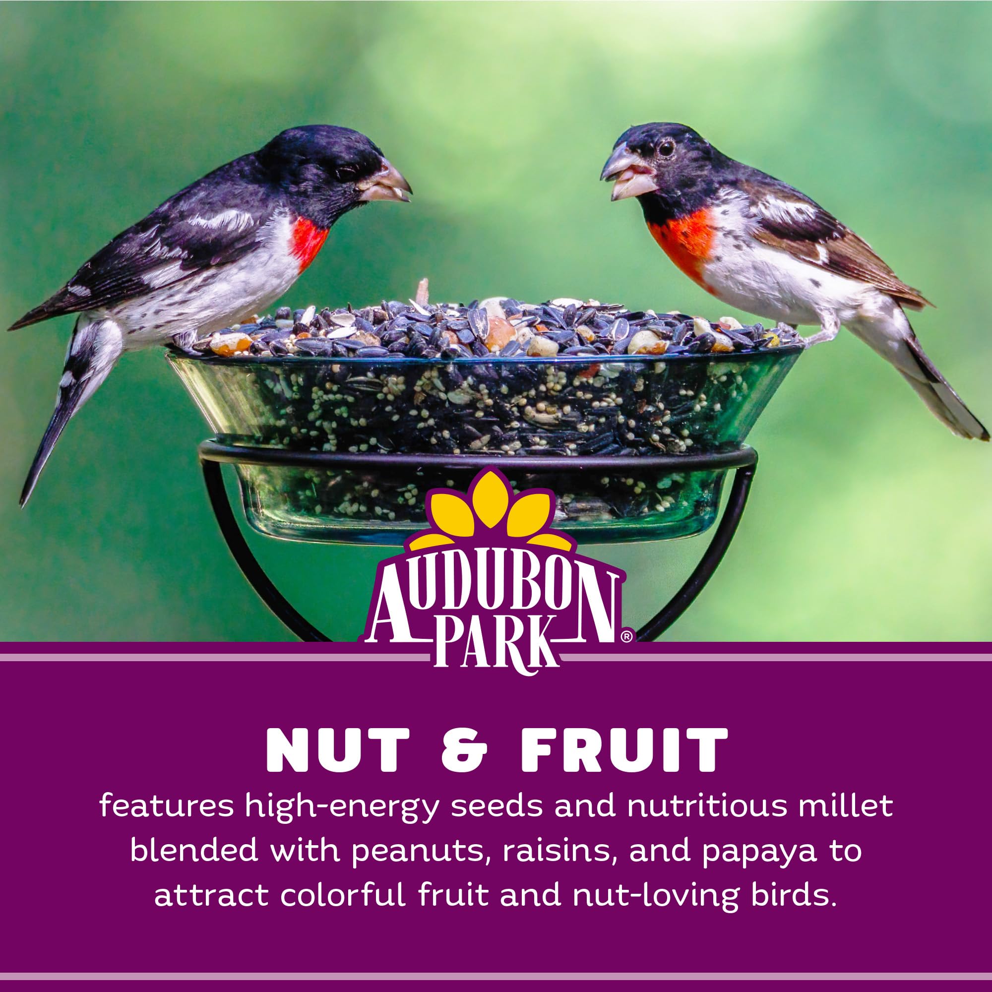 Audubon Park Nut & Fruit - Semilla de Aves Silvestres – 8 Libras Mezcla Premium con Semillas de Girasol, Cacahuetes, cártamo y Frutas secas - Alimento para pájaros para comederos Exteriores