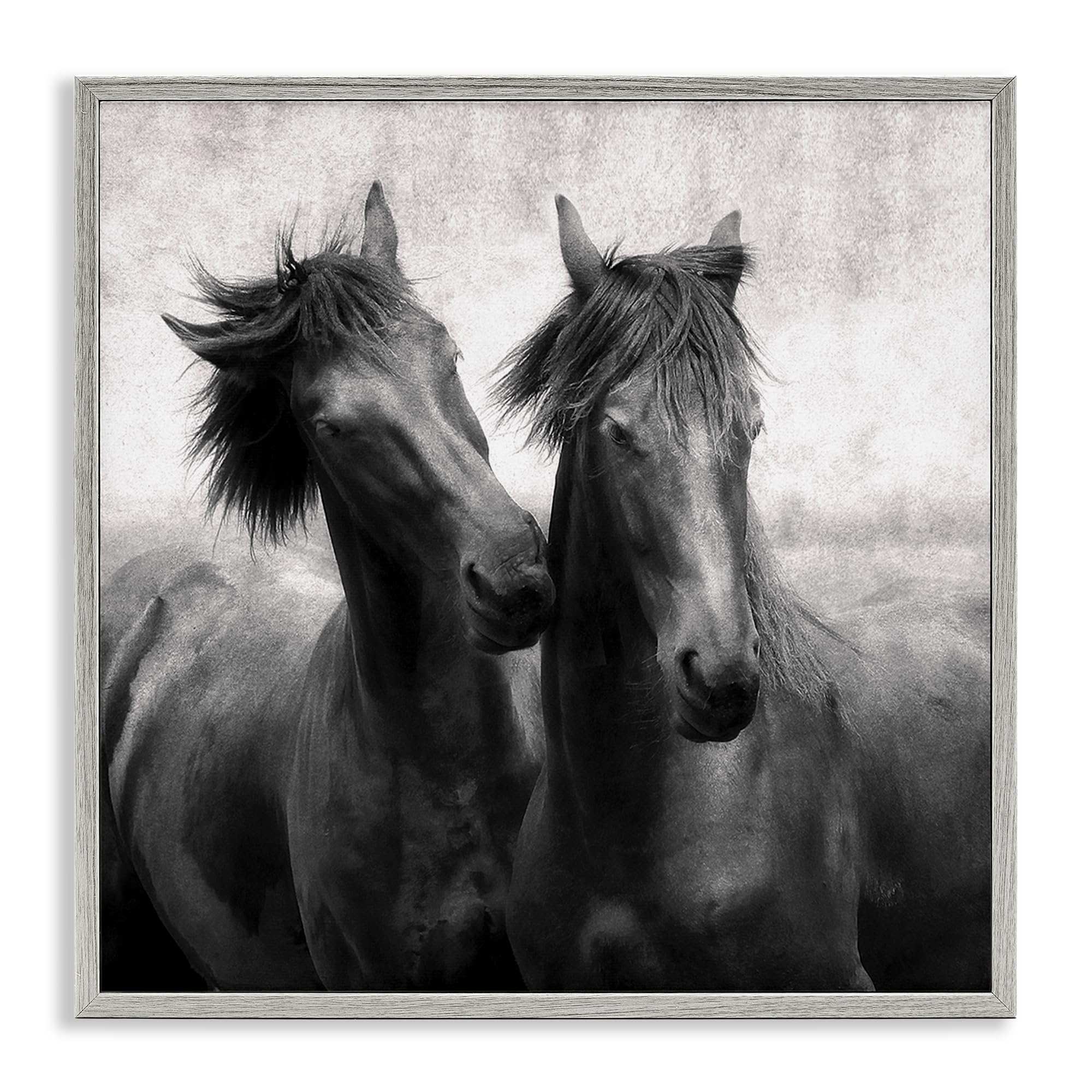 'Short Haired Horse Pair'| Framed Giclee Art