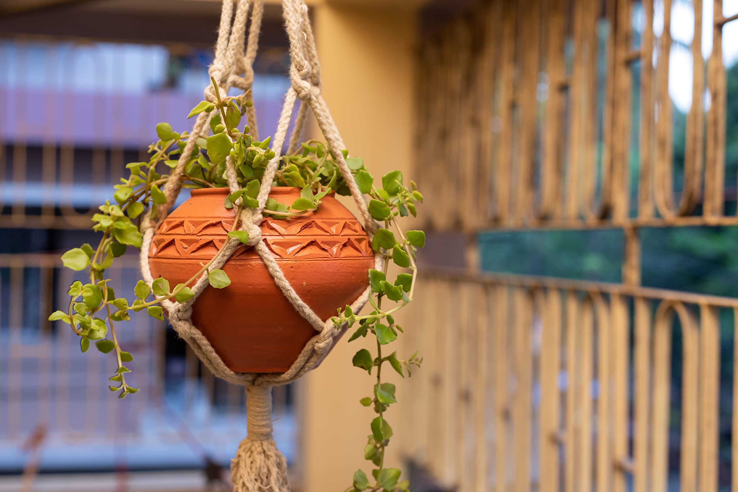 Haus Fabula Handcrafted Terracotta Balcony Hanging Planter, Rooftop Planter, Orchid Planter, Outdoor Planter, Window Planter, Corporate Gifts, Nursery Planter, Vegetable Planter, (HFHGPT_518) (B0BLYPJNCK) Amazon Price History, Amazon Price Tracker