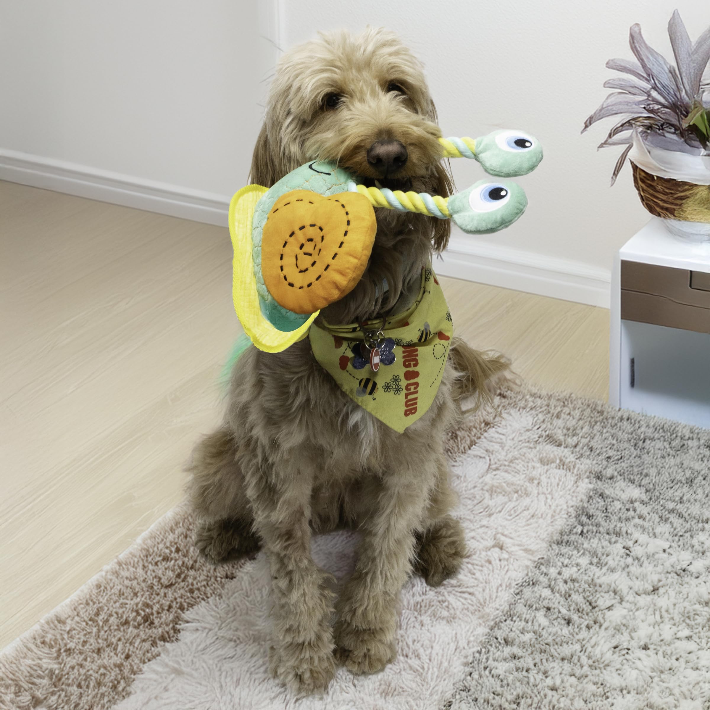 KONG Bendeez Jouet escargot pour chien Taille L | Jouet en peluche robuste