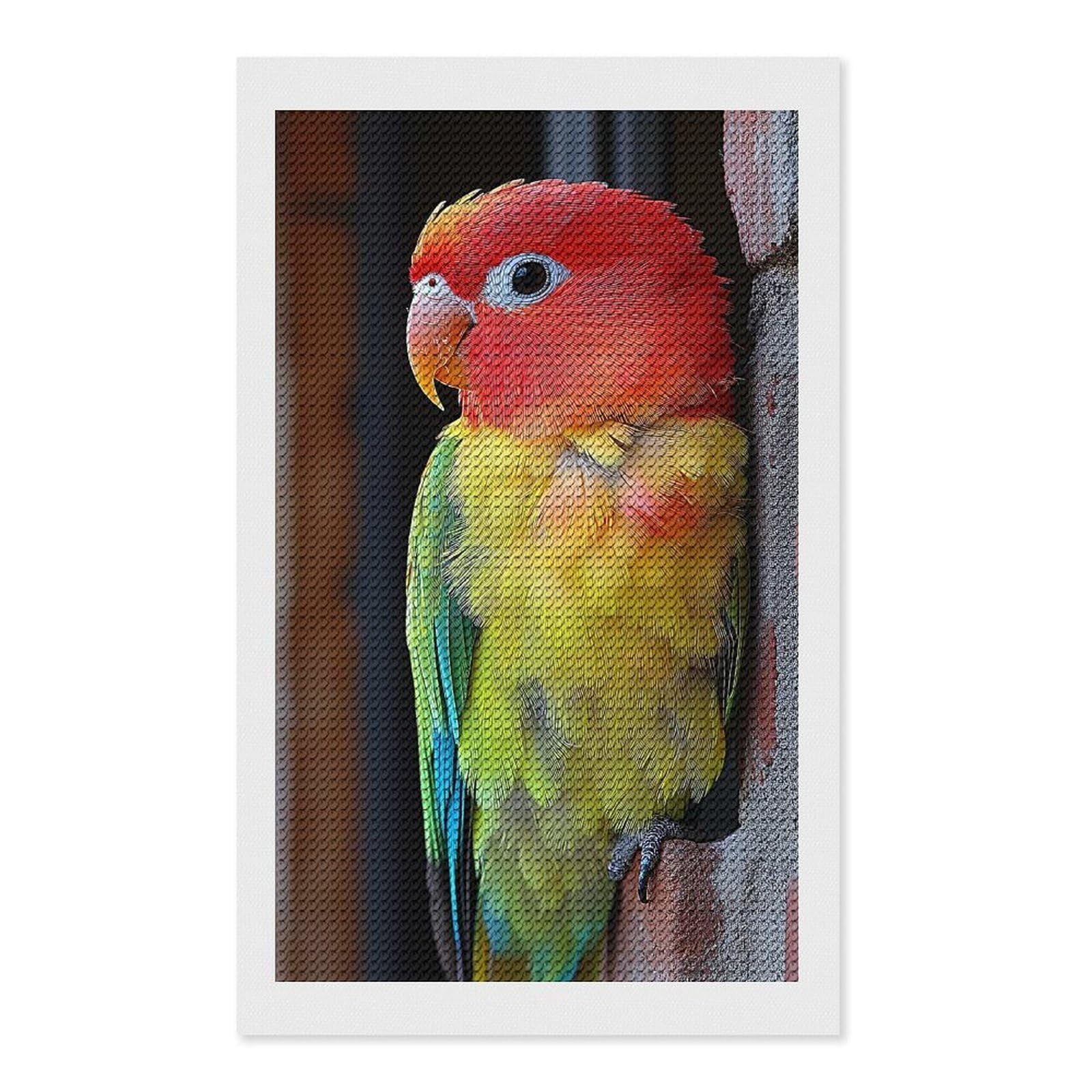 Junmoney Colorful Lovebird Portrait Diamond Art Kit 12"x20", Creative Leisure Activity, Complete Accessories, Vintage Style Decor, for Women