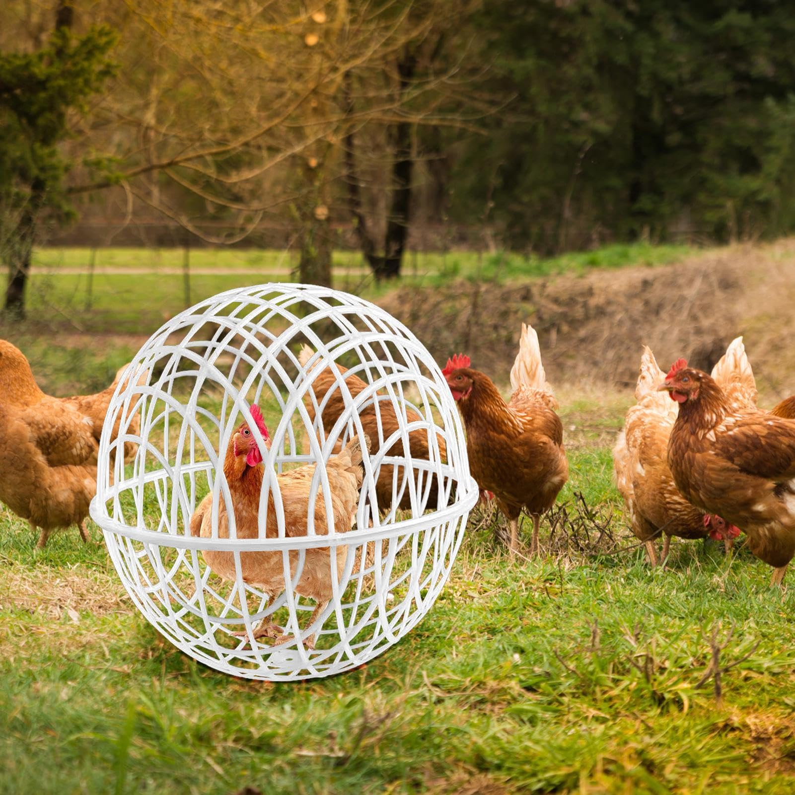 3 Pieces Ball-Shaped Movable Chicken Coop Chicken Balls Cage Farm Outdoor Rolling Bunny Duck Hutch Safe Walking Net Preventing Dog Bites Trampled by Horse — view 6
