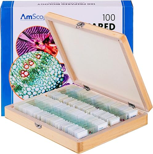AmScope PS100E - Juego de diapositivas preparadas para biología básica para estudiantes y uso en casa, juego de 100 toboganes de vidrio preparados