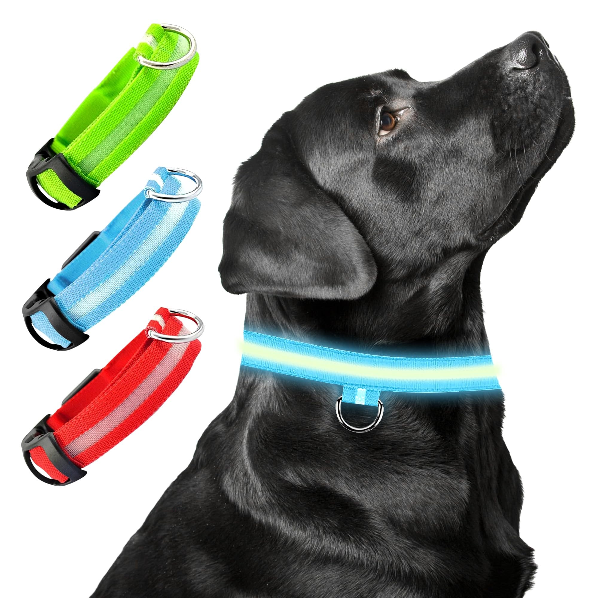 D&S Global LED Dog Collar, Rechargeable, Waterproof, Adjustable Size, USB Charging, Glowing Modes, for Small Medium and Large Dogs (Blue, Medium)