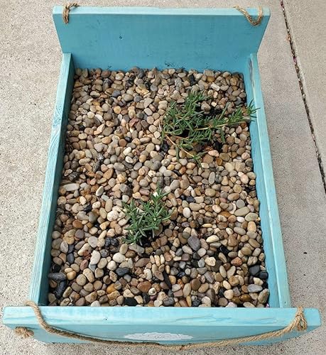 Voulosimi 12 LBS River Rock Stones, Natural Decorative Polished Mixed Pebbles Gravel,Outdoor Decorative Stones for Plant Aquariums, Landscaping, Vase Fillers(Mixed Colors,9 LB)