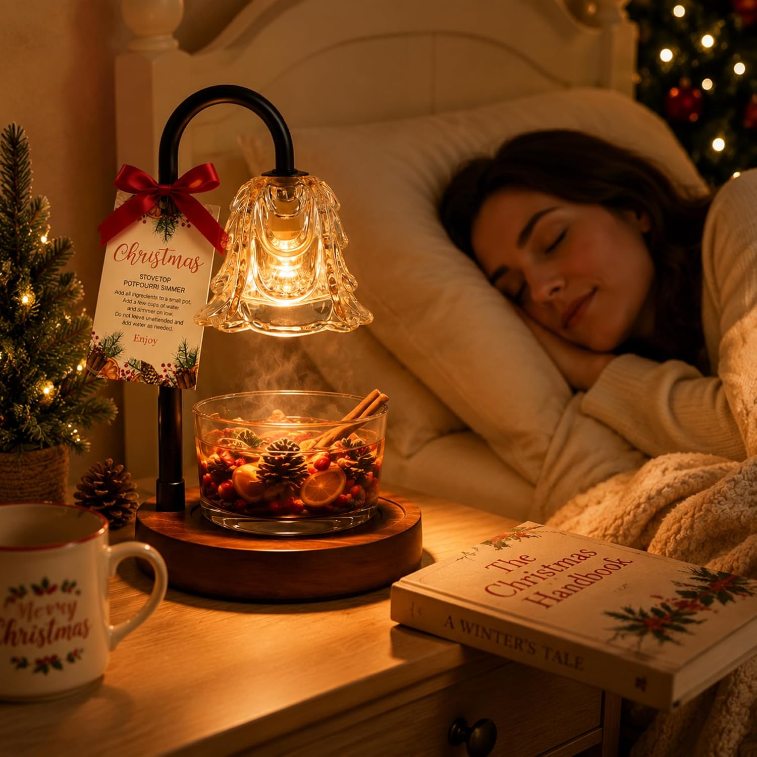 Christmas Simmer Pot Warmer Lamp with Card for Xmas Gift | Winter Holiday Present, Thank You Gifts for Teacher Coworker, Xmas Party Favors, Aromatherapy Warmer Includes Card