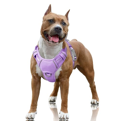 BARKBAY Arnés para Perro sin tirones, Reflectante Grande con Clip Frontal y asa de fácil Control para Caminar